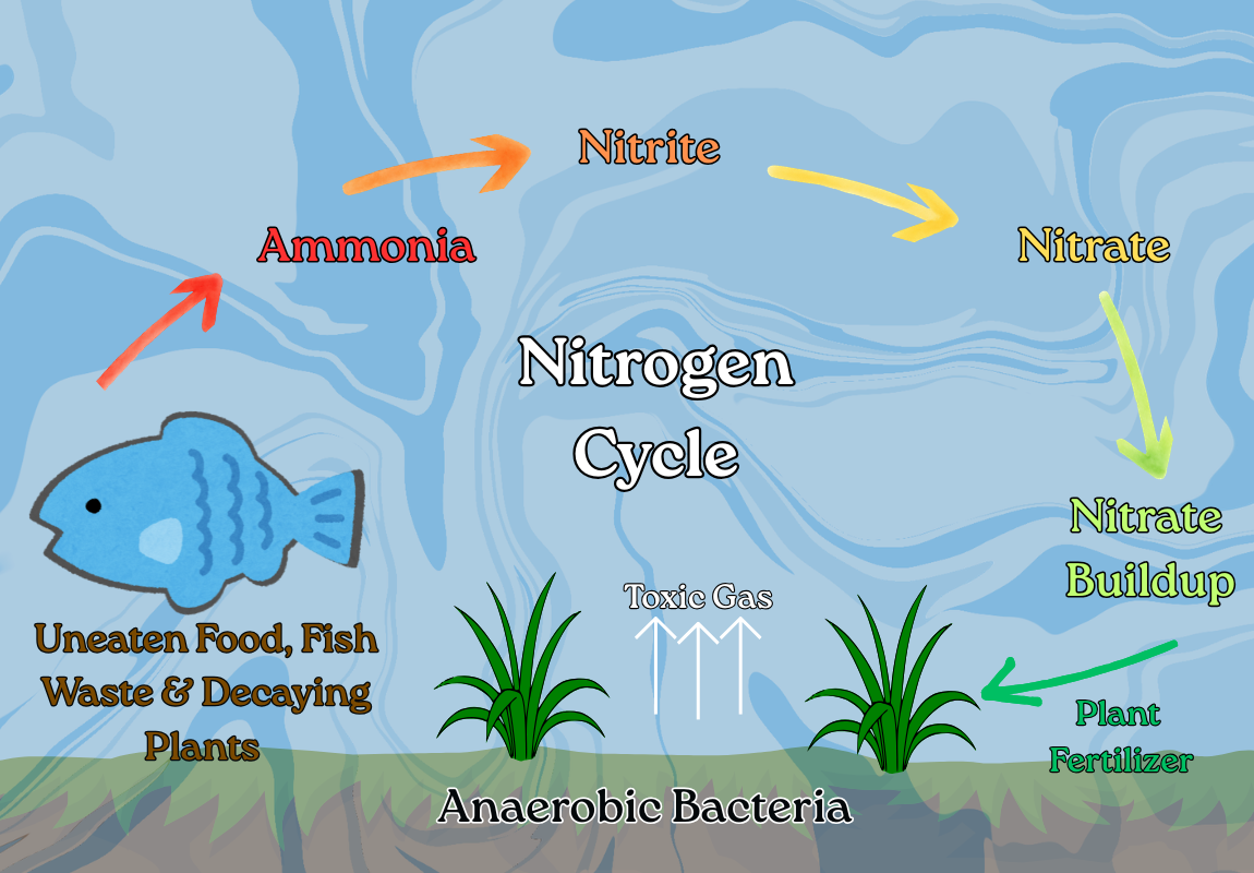 The Nitrogen Cycle Diagram