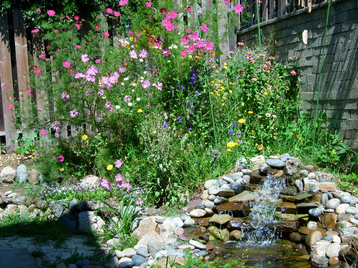 Water Garden Waterfall