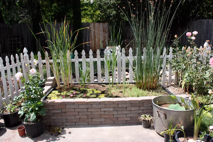 Gallery Image 11