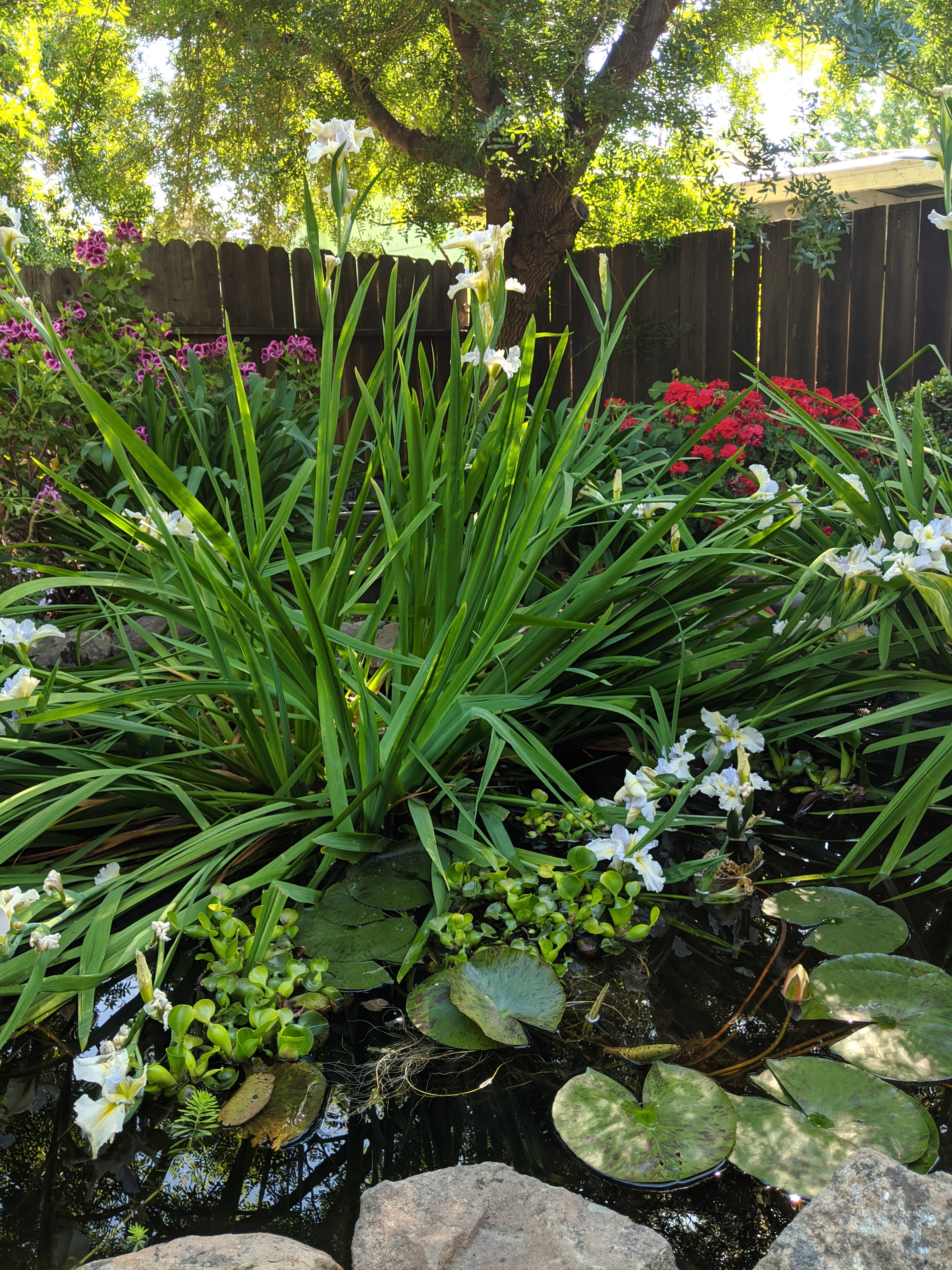 Gallery Image 16