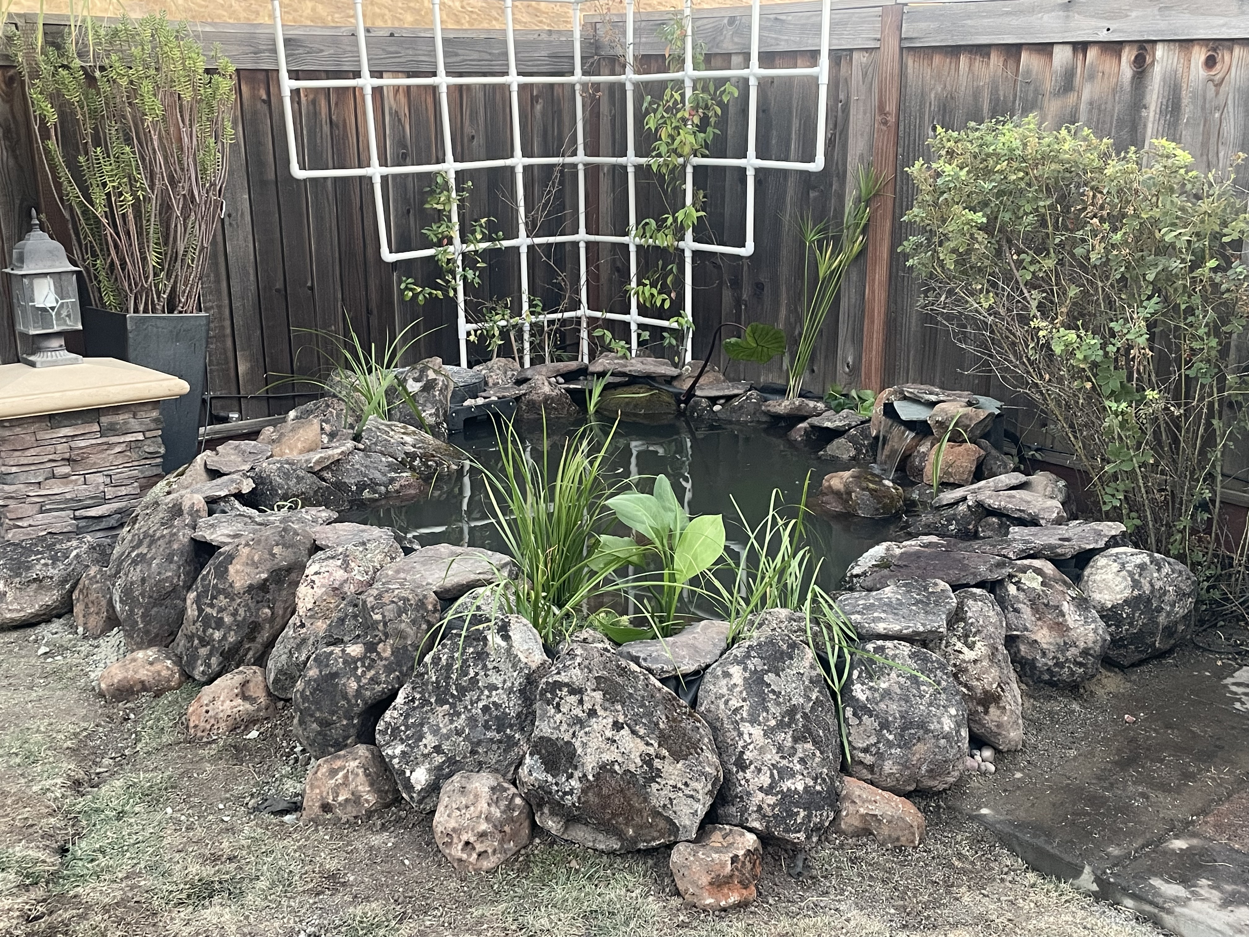 Gallery Image 17