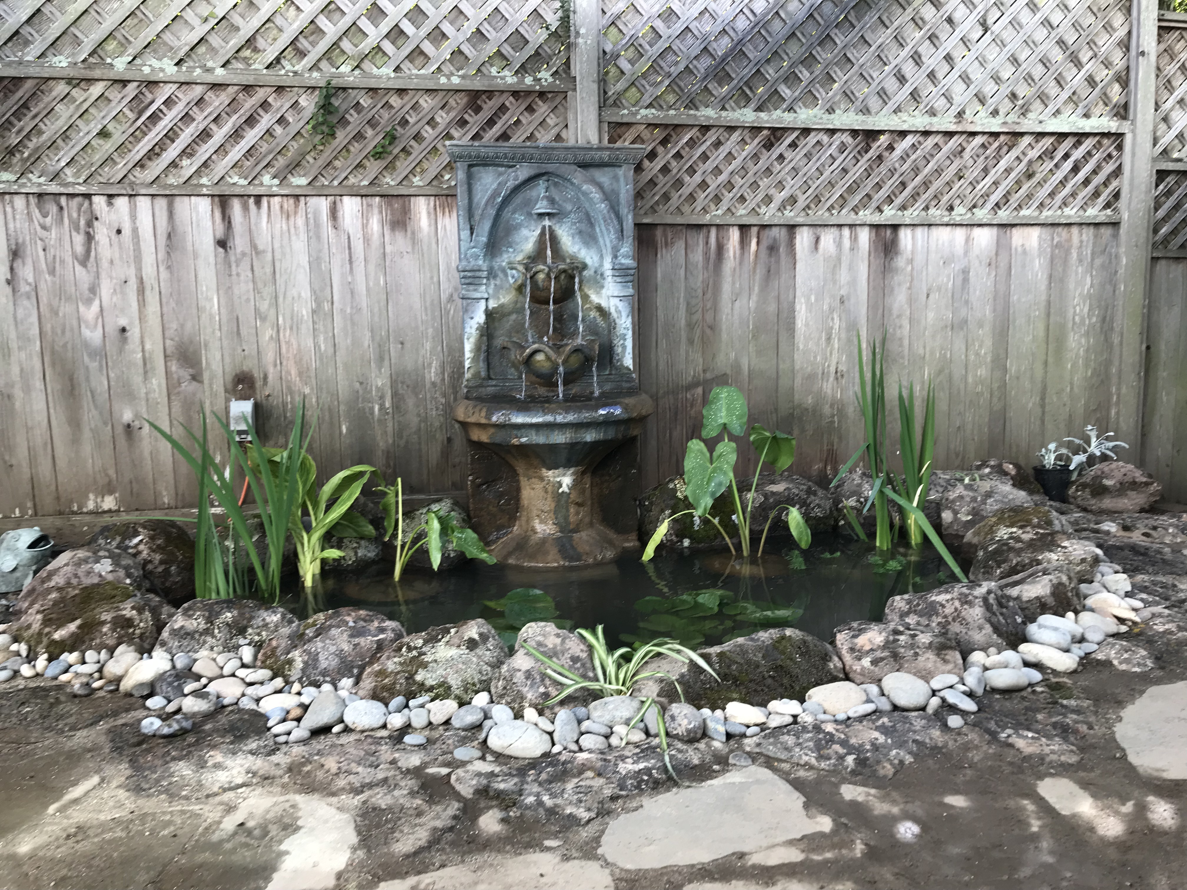 Gallery Image 18