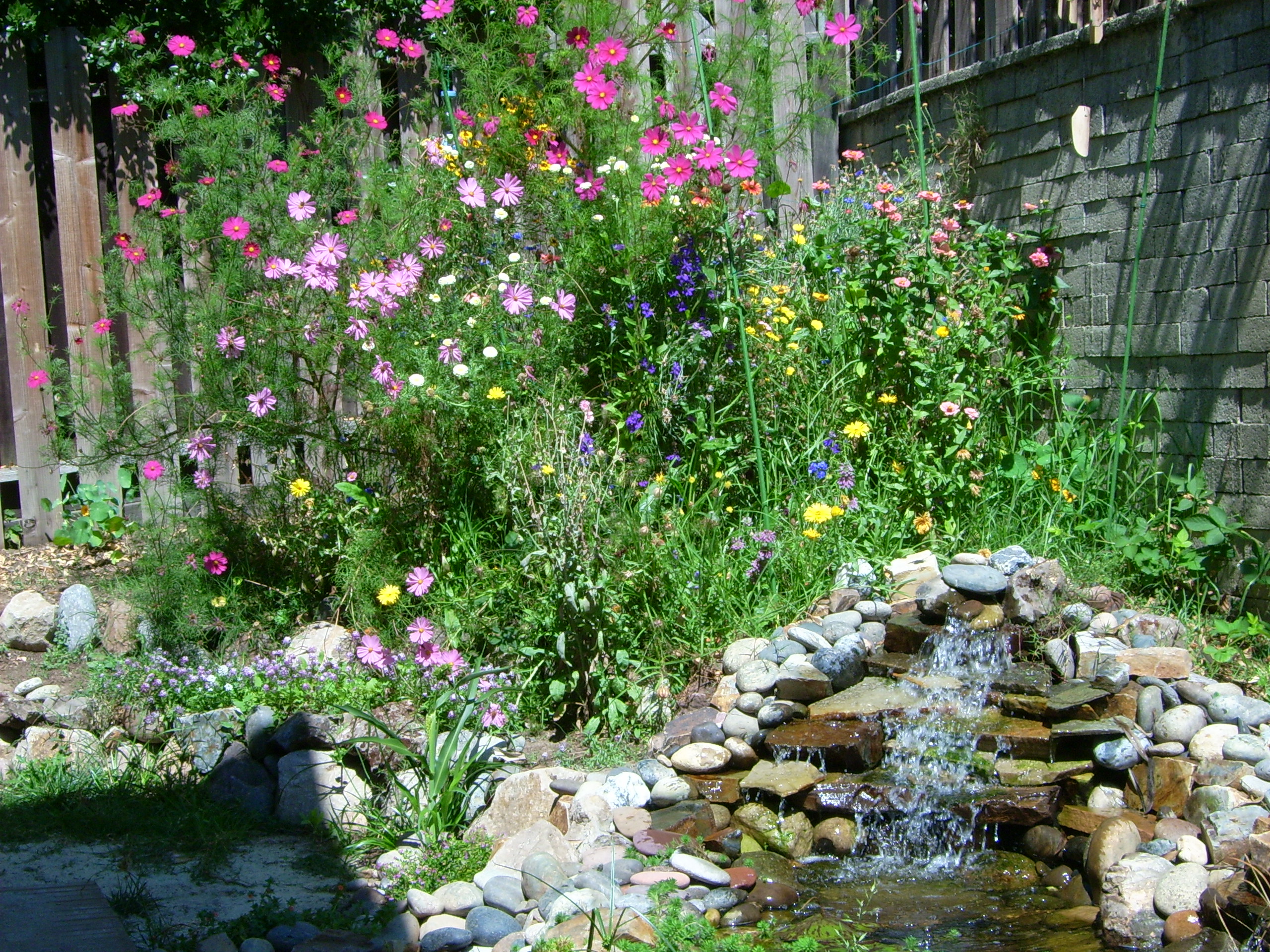 Gallery Image 19