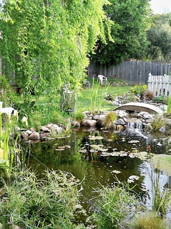 Gallery Image 20