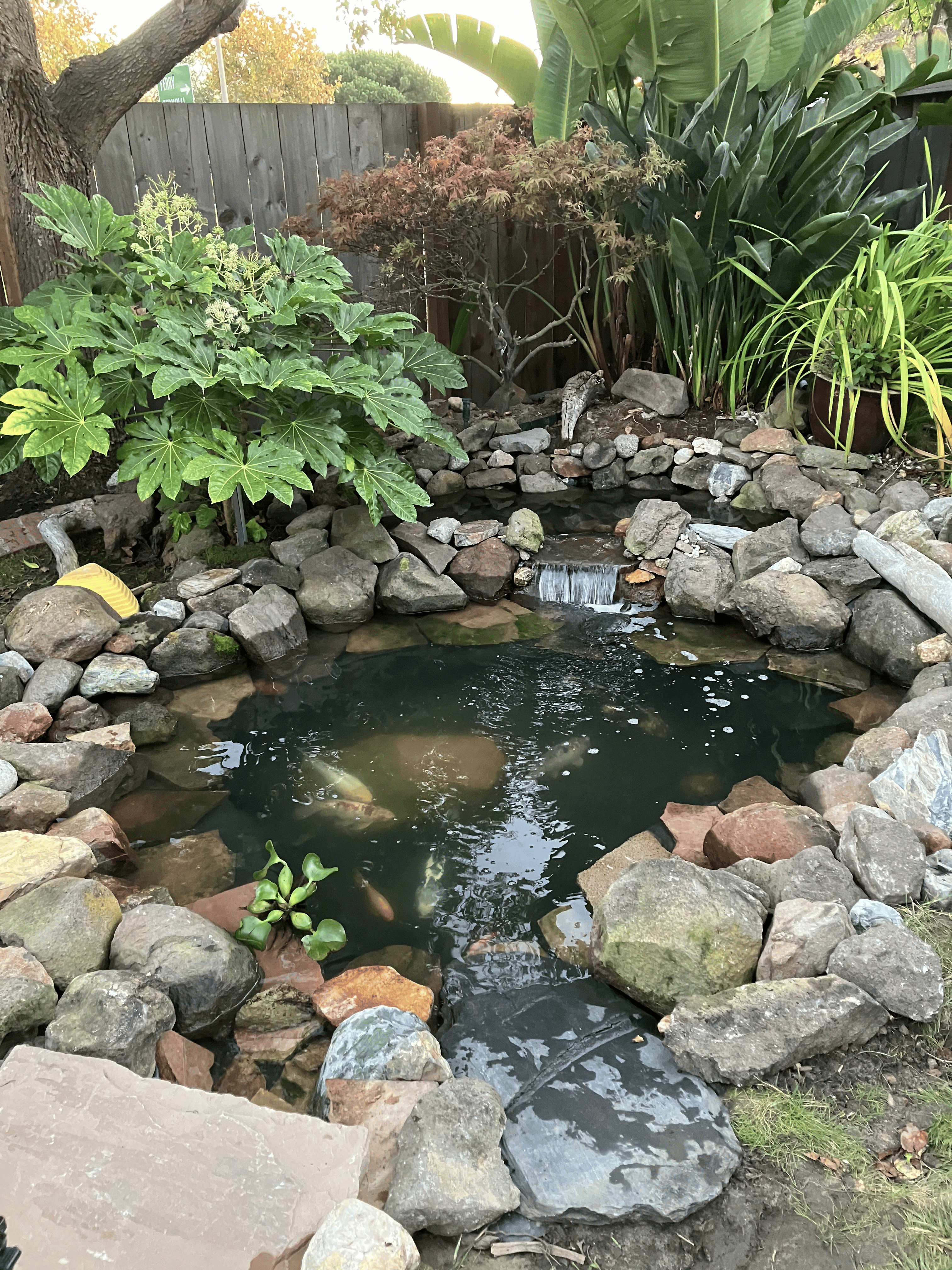 Gallery Image 25