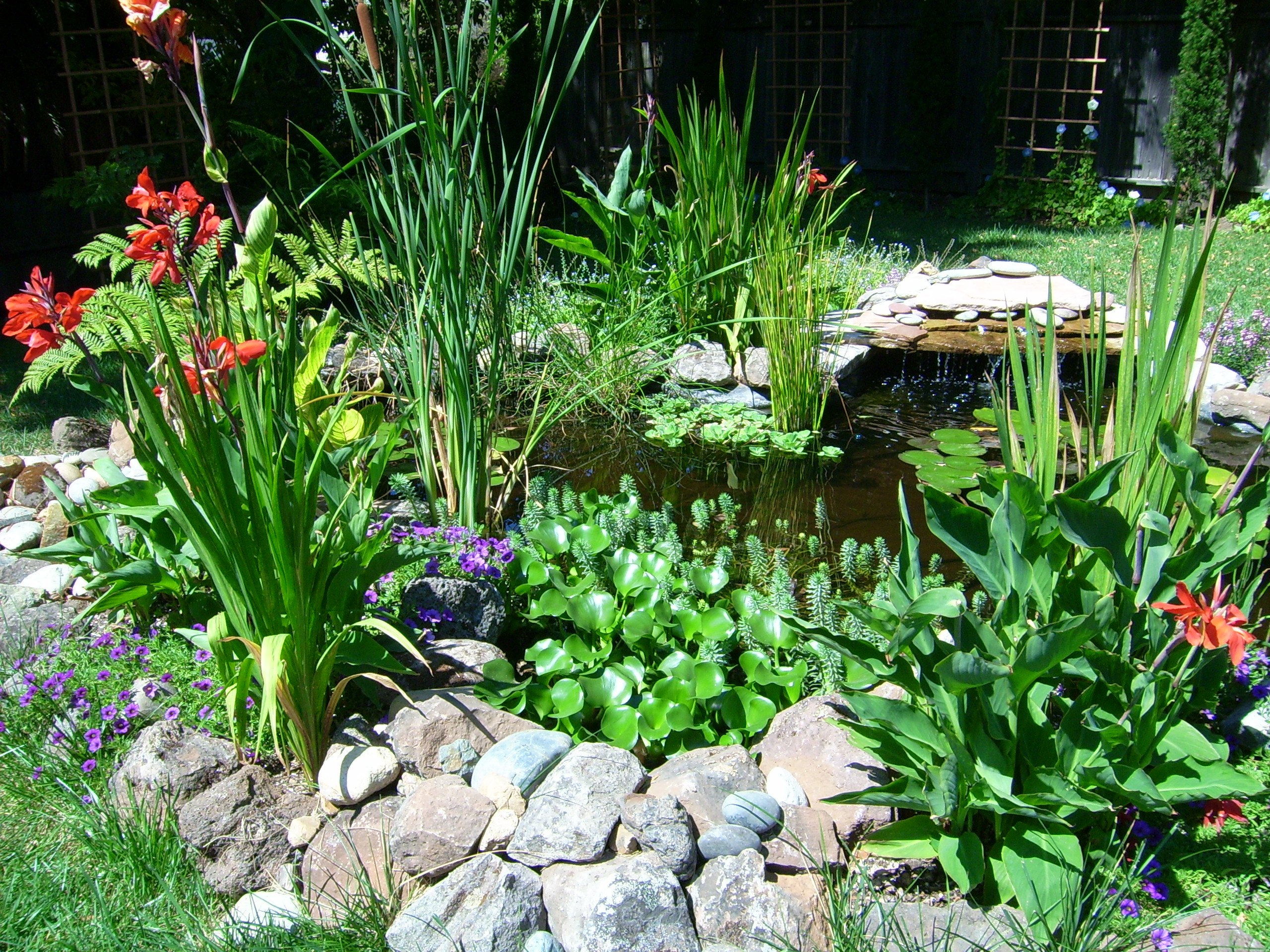 Gallery Image 31