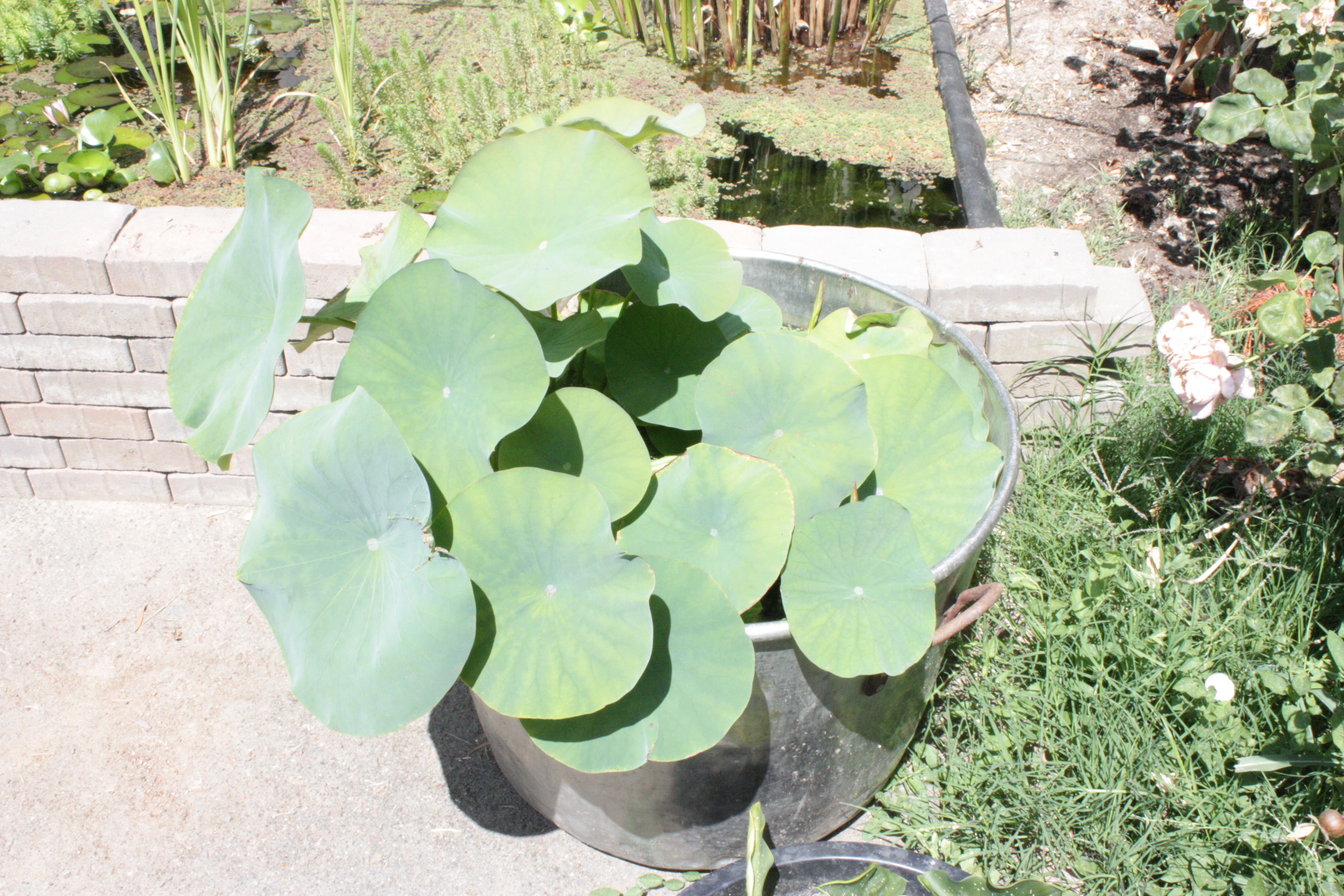Gallery Image 34